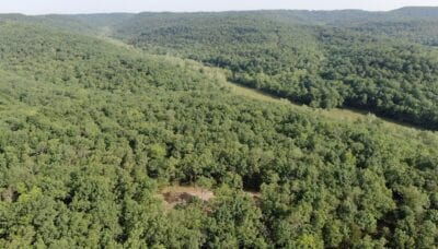 Owner Financed Hunting and Recreational Land in Missouri and Arkansas