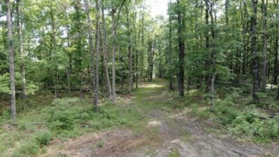 Owner Financed Hunting and Recreational Land in Missouri and Arkansas