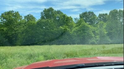 Owner Financed Hunting and Recreational Land in Missouri and Arkansas