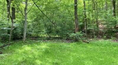 Owner Financed Hunting and Recreational Land in Missouri and Arkansas