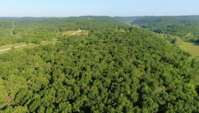 Owner Financed Hunting and Recreational Land in Missouri and Arkansas