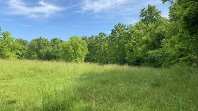 Owner Financed Hunting and Recreational Land in Missouri and Arkansas
