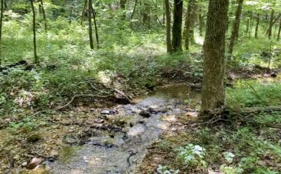 Creek at Panther Hollow