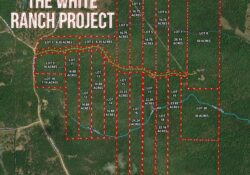 Owner Financed Hunting and Recreational Land in Missouri and Arkansas