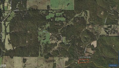 Owner Financed Hunting and Recreational Land in Missouri and Arkansas