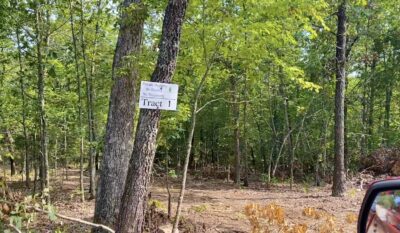 Owner Financed Hunting and Recreational Land in Missouri and Arkansas