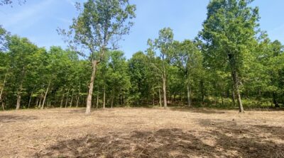 Owner Financed Hunting and Recreational Land in Missouri and Arkansas