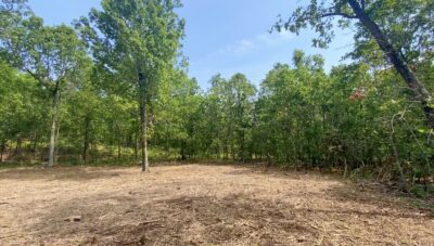 Owner Financed Hunting and Recreational Land in Missouri and Arkansas