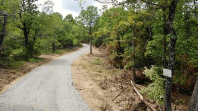 Owner Financed Hunting and Recreational Land in Missouri and Arkansas