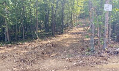 Owner Financed Hunting and Recreational Land in Missouri and Arkansas