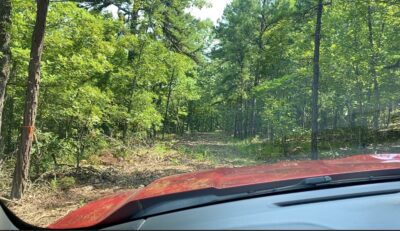 Owner Financed Hunting and Recreational Land in Missouri and Arkansas