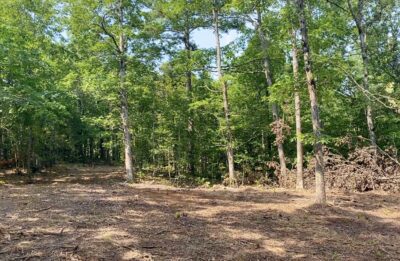 Owner Financed Hunting and Recreational Land in Missouri and Arkansas