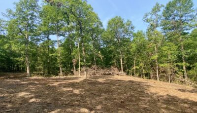 Owner Financed Hunting and Recreational Land in Missouri and Arkansas