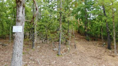 Owner Financed Hunting and Recreational Land in Missouri and Arkansas