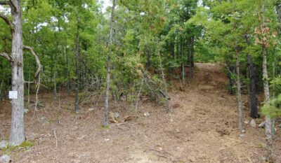 Owner Financed Hunting and Recreational Land in Missouri and Arkansas