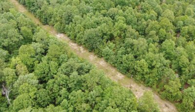 Owner Financed Hunting and Recreational Land in Missouri and Arkansas