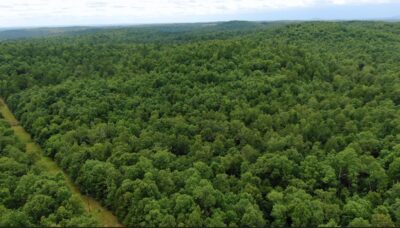 Owner Financed Hunting and Recreational Land in Missouri and Arkansas