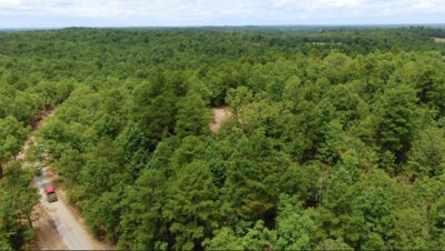 Owner Financed Hunting and Recreational Land in Missouri and Arkansas