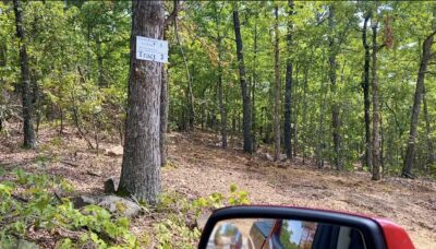 Owner Financed Hunting and Recreational Land in Missouri and Arkansas