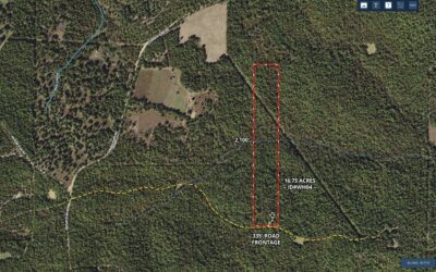Owner Financed Hunting and Recreational Land in Missouri and Arkansas