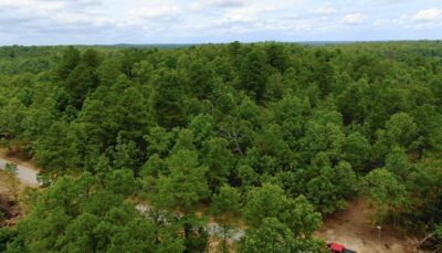Owner Financed Hunting and Recreational Land in Missouri and Arkansas