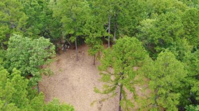 Owner Financed Hunting and Recreational Land in Missouri and Arkansas