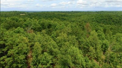 Owner Financed Hunting and Recreational Land in Missouri and Arkansas
