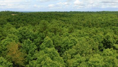Owner Financed Hunting and Recreational Land in Missouri and Arkansas