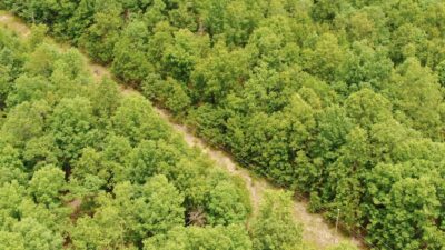 Owner Financed Hunting and Recreational Land in Missouri and Arkansas