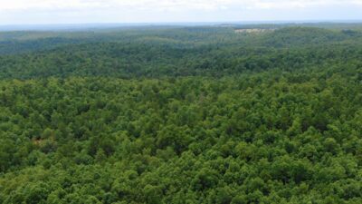 Owner Financed Hunting and Recreational Land in Missouri and Arkansas