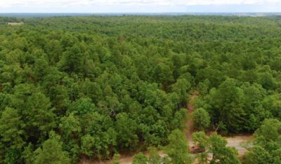 Owner Financed Hunting and Recreational Land in Missouri and Arkansas