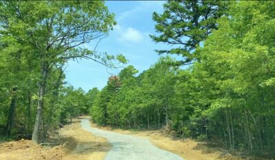 Owner Financed Hunting and Recreational Land in Missouri and Arkansas