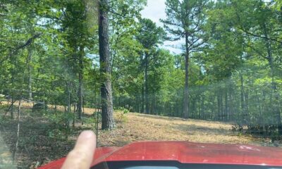 Owner Financed Hunting and Recreational Land in Missouri and Arkansas