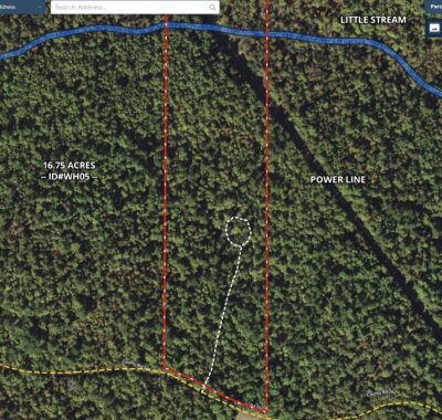 Owner Financed Hunting and Recreational Land in Missouri and Arkansas