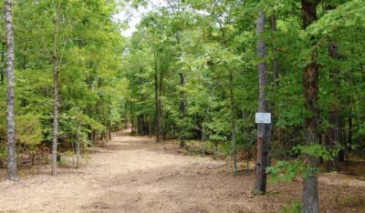 Owner Financed Hunting and Recreational Land in Missouri and Arkansas