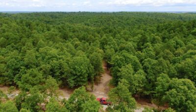 Owner Financed Hunting and Recreational Land in Missouri and Arkansas