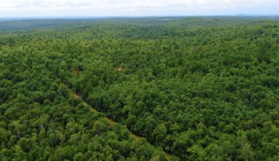Owner Financed Hunting and Recreational Land in Missouri and Arkansas