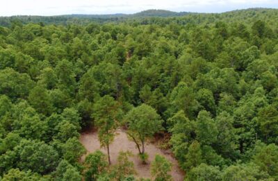 Owner Financed Hunting and Recreational Land in Missouri and Arkansas