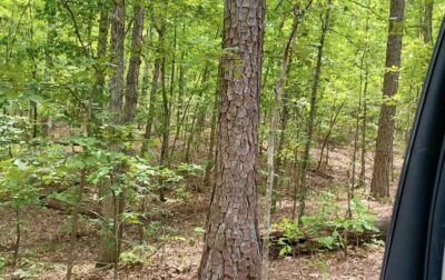 Owner Financed Hunting and Recreational Land in Missouri and Arkansas