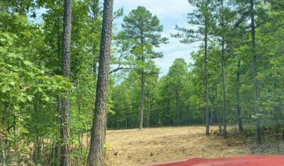 Owner Financed Hunting and Recreational Land in Missouri and Arkansas