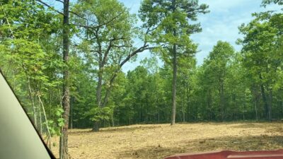 Owner Financed Hunting and Recreational Land in Missouri and Arkansas