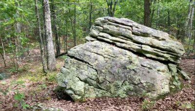 Owner Financed Hunting and Recreational Land in Missouri and Arkansas