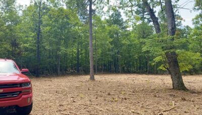 Owner Financed Hunting and Recreational Land in Missouri and Arkansas