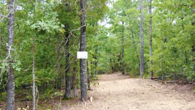 Owner Financed Hunting and Recreational Land in Missouri and Arkansas