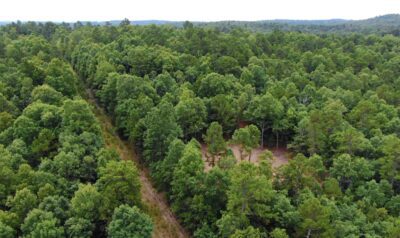 Owner Financed Hunting and Recreational Land in Missouri and Arkansas
