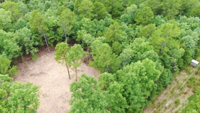 Owner Financed Hunting and Recreational Land in Missouri and Arkansas