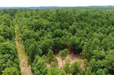Owner Financed Hunting and Recreational Land in Missouri and Arkansas