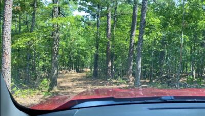 Owner Financed Hunting and Recreational Land in Missouri and Arkansas