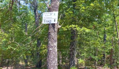 Owner Financed Hunting and Recreational Land in Missouri and Arkansas