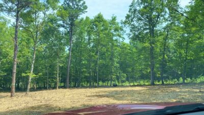 Owner Financed Hunting and Recreational Land in Missouri and Arkansas